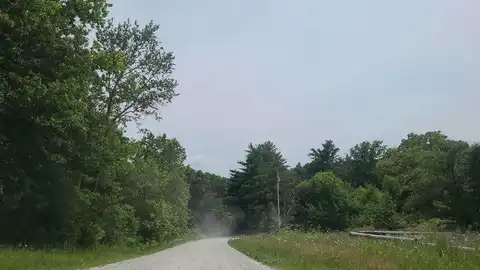 Mulberry, RIDGEDALE, MO 65739