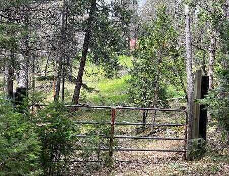 Bridger, OAK RUN, CA 96069