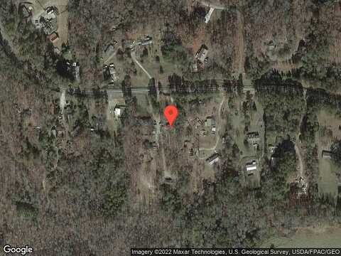 Tiger Lily, DAWSONVILLE, GA 30534