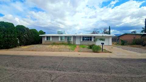 Blackbird, SIERRA VISTA, AZ 85635