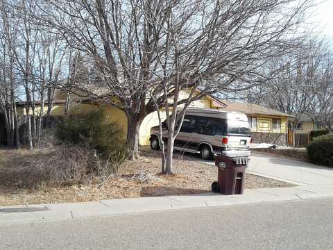 Blueflax, PUEBLO, CO 81001
