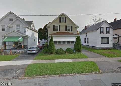 Linnet, ROCHESTER, NY 14613