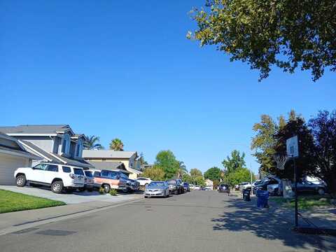 Shade Tree, ANTELOPE, CA 95843