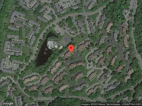 Barn Owl, HACKETTSTOWN, NJ 07840