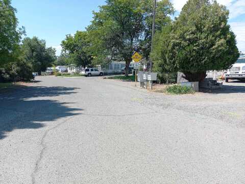 Willow, HOTCHKISS, CO 81419
