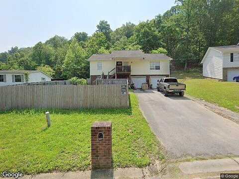 Long, NEWPORT, TN 37821