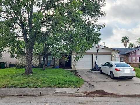 Valley Tree, SAN ANTONIO, TX 78250