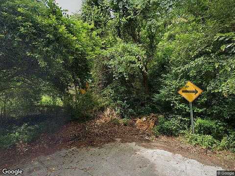 Plumtree, MACON, GA 31217
