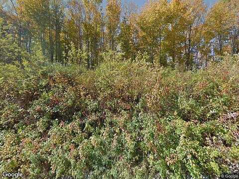 Rose Valley, COLD BROOK, NY 13324