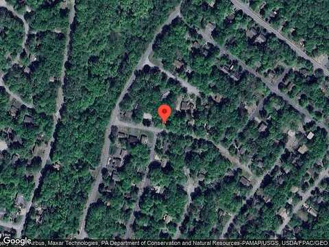 Red Squirrel, TOBYHANNA, PA 18466