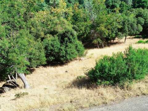 10610 Boren Bega Drive, Kelseyville, CA 95451