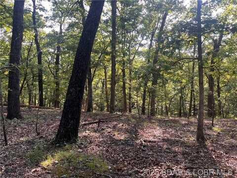 TBD Flathead Road, Gravois Mills, MO 65037