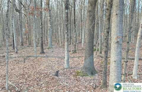 6 Occonquan Trail unit: 1723, Penn Forest Twp, PA 18210