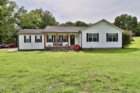 302 FORD STORE, Ripley, TN 38063