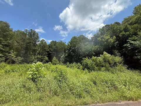 TRACT 1 CHERRY CHAPEL, Savannah, TN 38372