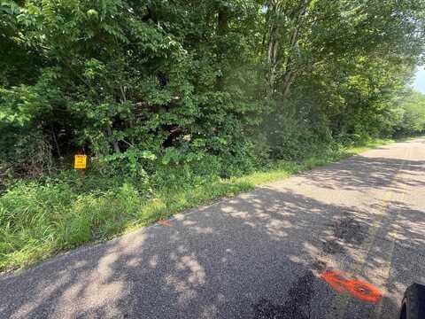 TRACT 2 CHERRY CHAPEL, Savannah, TN 38372