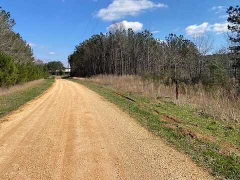 605 MASSEY, Savannah, TN 38372