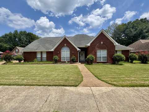 244 BRADFORD RIDGE, Collierville, TN 38017