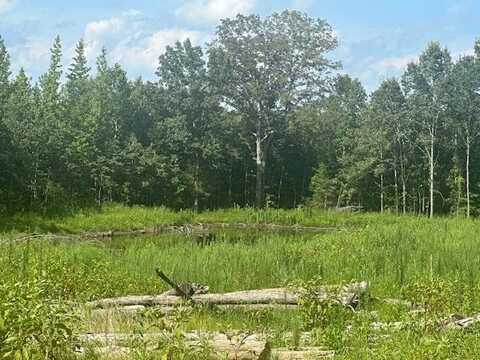 31880 69, Morris Chapel, TN 38362
