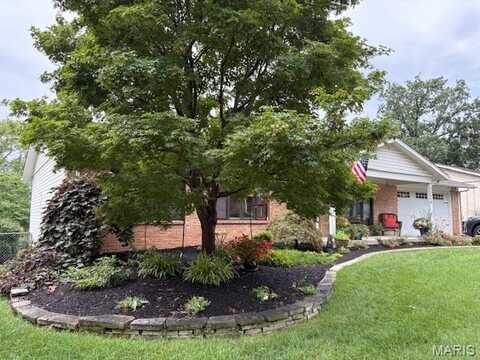 11458 Burgess Avenue, Bridgeton, MO 63044
