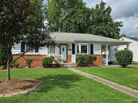 803 Smith Lane, Hillsboro, IL 62049