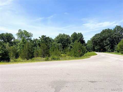 1752 S Capri Drive, Bonne Terre, MO 63628