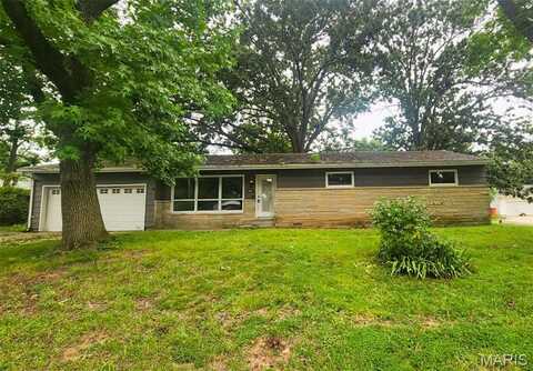 1009 N Burtschi Street, Vandalia, IL 62471