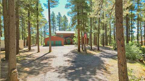 Timberidge Road, Chama, NM 87520