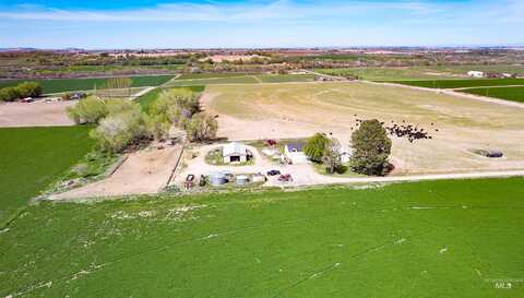 Sage, Homedale, ID 83628