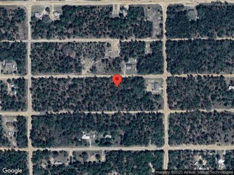 Himalayan, INTERLACHEN, FL 32148