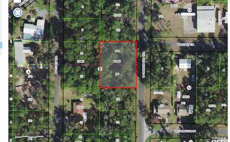 Orangebud, CRYSTAL RIVER, FL 34428
