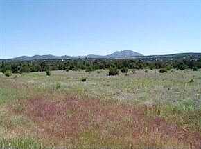 Nature Point Drive, Tijeras, NM 87059
