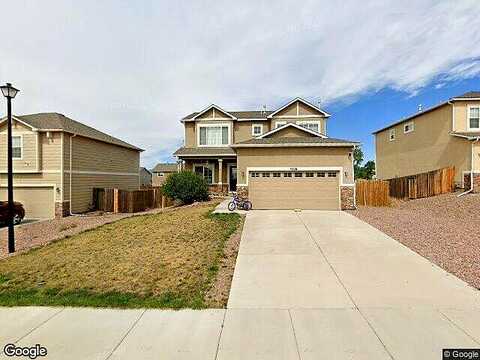 Wild Daisy, COLORADO SPRINGS, CO 80925