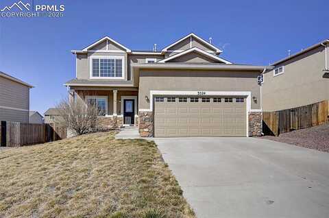 Wild Daisy, COLORADO SPRINGS, CO 80925