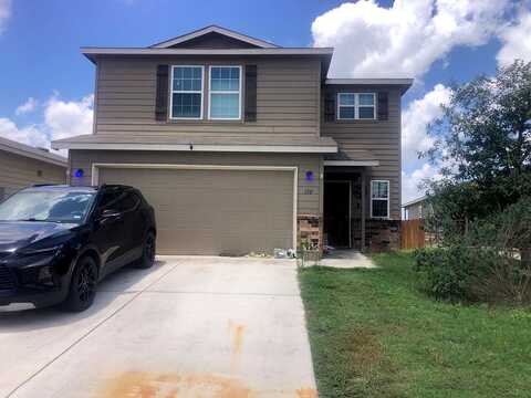Texas Lantana, NEW BRAUNFELS, TX 78130