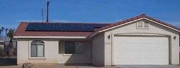 Buckwheat, LAKE HAVASU CITY, AZ 86403