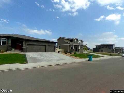 Horsechestnut, WELLINGTON, CO 80549