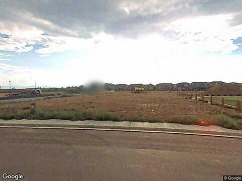 Summer Hawk, LONGMONT, CO 80504