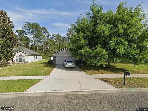 Sandhill Crane, MIDDLEBURG, FL 32068
