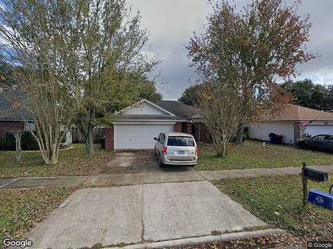 Wildberry, ORANGE PARK, FL 32073