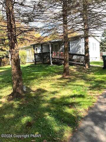 Flame, BLAKESLEE, PA 18610