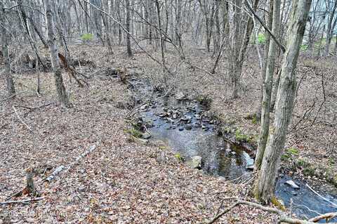 Wild Laurel, LONG POND, PA 18334