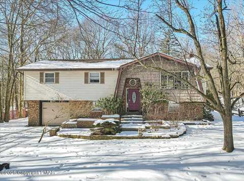 Chestnut, ALBRIGHTSVILLE, PA 18210