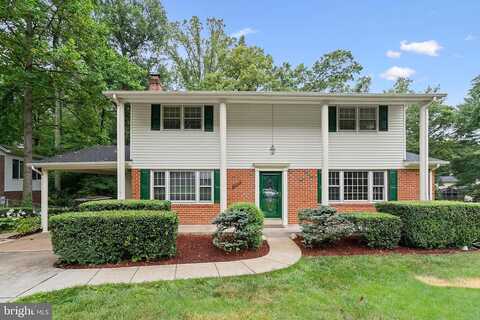 Shotgun, SPRINGFIELD, VA 22153