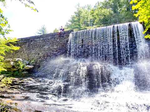 Buttonwood, TOBYHANNA, PA 18466