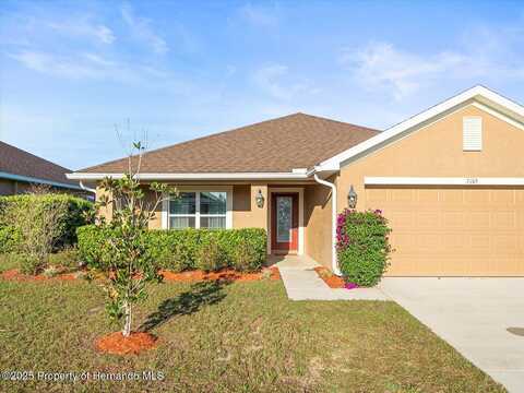 Wirevine, BROOKSVILLE, FL 34602