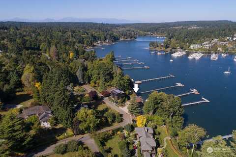 Rose, BAINBRIDGE ISLAND, WA 98110