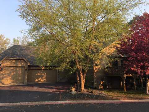 Bouleau, SAINT PAUL, MN 55110