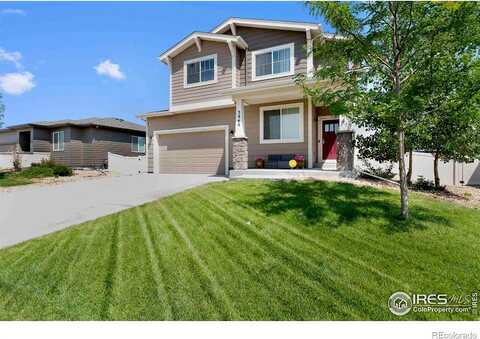 Buckthorn, WELLINGTON, CO 80549