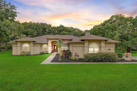 Mountainview, BROOKSVILLE, FL 34602